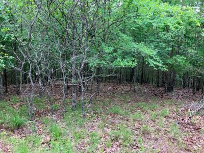 Tract 2 TBD Thompson Creek Lane, Mena, Arkansas 71953, Estados Unidos