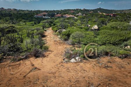 Curiburi Estates full ownership land Lot 4, Curiburi Estates full ownership land, Paradera, Aruba