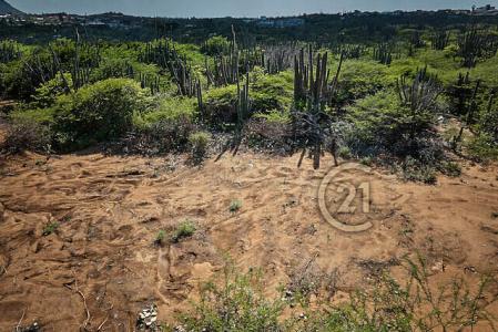Curiburi Estates full ownership land Lot 6, Curiburi Estates full ownership land, Paradera, Aruba