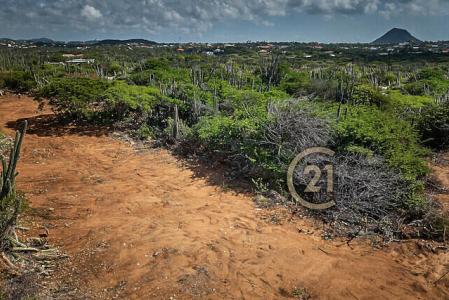 Curiburi Estates full ownership land Lot 7, Curiburi Estates full ownership land, Paradera, Aruba