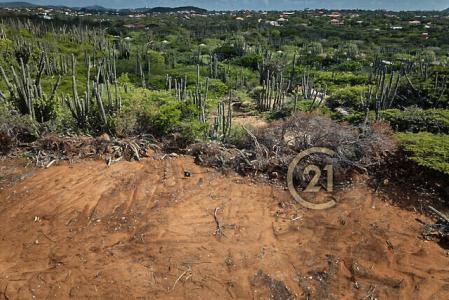 Curiburi Estates full ownership land Lot 8, Curiburi Estates full ownership land, Paradera, Aruba