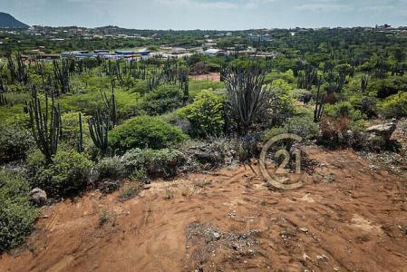 Curiburi Estates full ownership land Lot 9, Curiburi Estates full ownership land, Paradera, Aruba