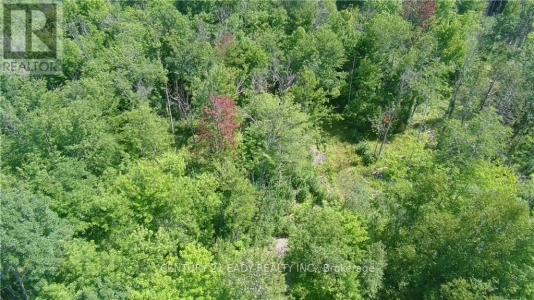 0 DORE BAY ROAD, North Algona Wilberforce, Ontario K8A 6W5, CANADÁ