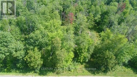 0 DORE BAY ROAD, North Algona Wilberforce, Ontario K8A 6W5, CANADÁ