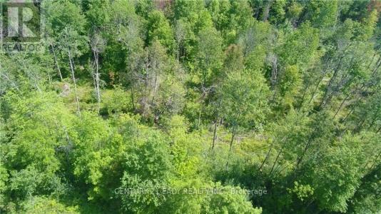 00 DORE BAY ROAD, North Algona Wilberforce, Ontario K8A 6W5, CANADÁ