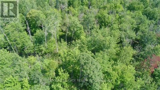00 DORE BAY ROAD, North Algona Wilberforce, Ontario K8A 6W5, CANADÁ