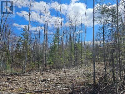 00 DORE BAY ROAD, North Algona Wilberforce, Ontario K8A 6W5, CANADÁ