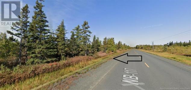 LOT RTE 117, Hardwicke, 新不倫瑞克 E9A 1J9, 加拿大