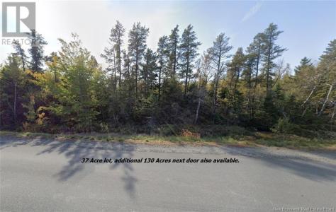 LOT RTE 117 HARDWICKE, Hardwicke, New Brunswick E9A 1J9, Canada