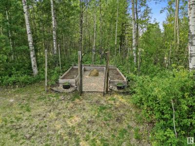 5429 TWP ROAD 494, Rural Brazeau County, Alberta T0C 1W0, Canadá