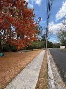 San Rafael Central, Алахуэла 00001, Коста-Рика