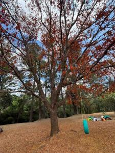 San Rafael Central, Алахуэла 00001, Коста-Рика