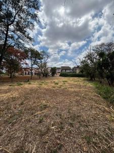 San Rafael Central, Алахуэла 00001, Коста-Рика