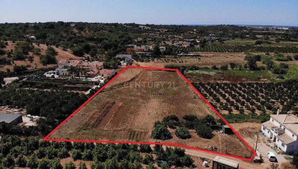 Tavira, Faro 8800-082, Bồ Đào Nha