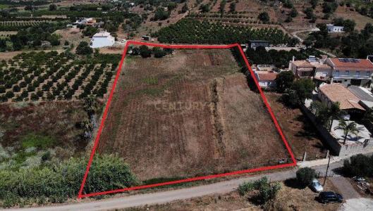 Tavira, Faro 8800-082, Bồ Đào Nha