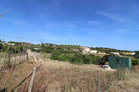 Tavira, Faro 8800-082, Bồ Đào Nha