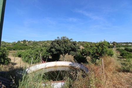 Tavira, Faro 8800-082, Bồ Đào Nha