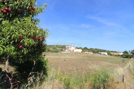 Tavira, Faro 8800-082, Bồ Đào Nha