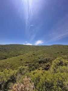 Castelló/Castellón, Comunitat Valenciana 12185, Spain