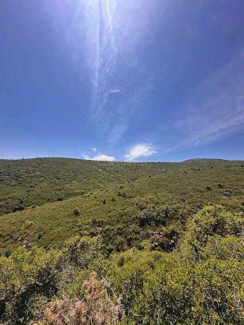Castelló/Castellón, Comunitat Valenciana 12185, 西班牙
