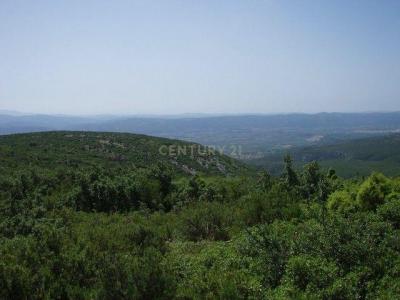 Castelló/Castellón, Comunitat Valenciana 12185, 西班牙