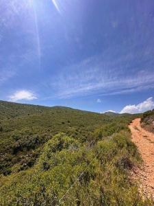 Castelló/Castellón, Comunitat Valenciana 12185, 西班牙