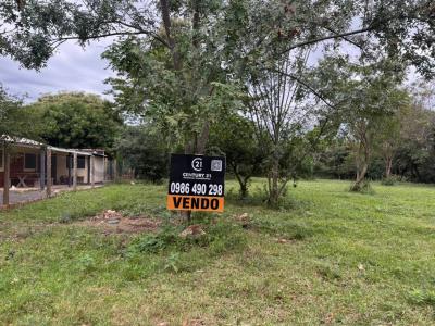 guelita , Coronel Oviedo, Caaguazú 00001, Paraguay