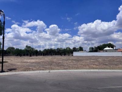 Calzada Santa Paulina 106,, Jesús Maria, Агуаскальентес 20900, Мексика