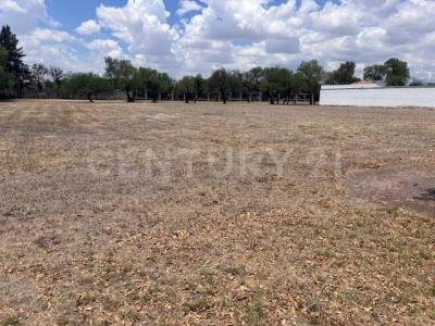 Calzada Santa Paulina 106,, Jesús Maria, Агуаскальентес 20900, Мексика