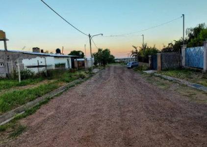 Luján De Cuyo, Mendoza 00001, Argentina