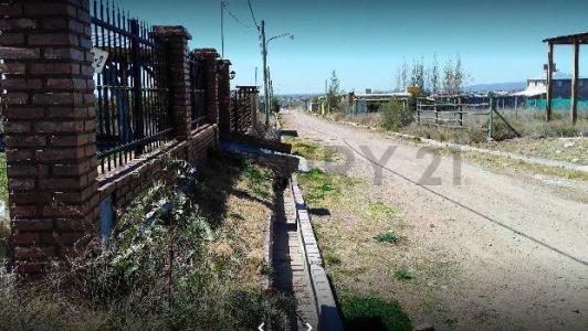 Luján De Cuyo, Mendoza 00001, Argentina