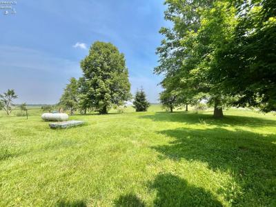 12029 E Township Road 134, Bellevue, Ohio 44811, USA