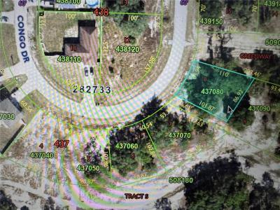 1331 CONGO DRIVE, POINCIANA, Floride 34759, États-Unis