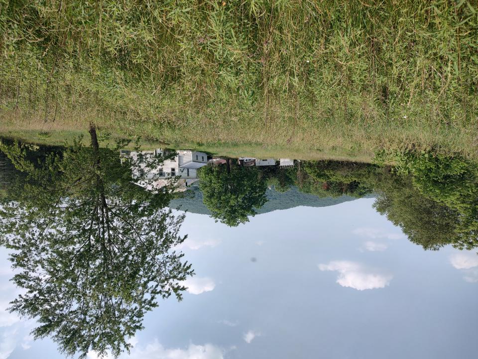 142 Frog Leap Ln, Max Meadows, Virginia 24360