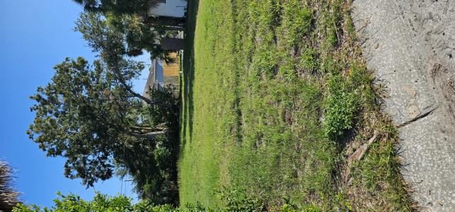 0 Grant St, Clearwater, Florida 33755, USA