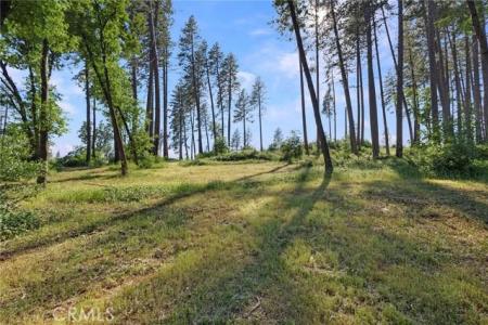 6344 Forest Lane, Paradise, California 95969, HOA KỲ