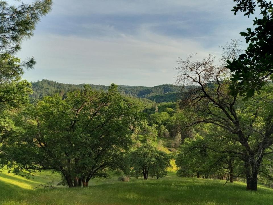 12274 Kenneth Court, Grass Valley, 加利福尼亚州 95949, 美国