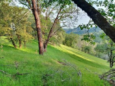 12274 Kenneth Court, Grass Valley, 加利福尼亚州 95949, 美国