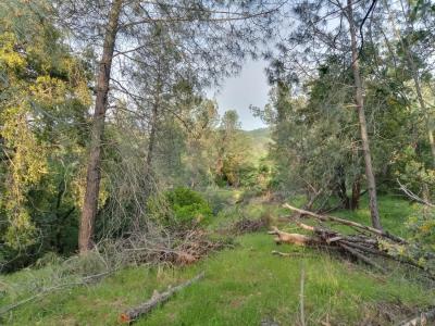 12274 Kenneth Court, Grass Valley, 加利福尼亚州 95949, 美国