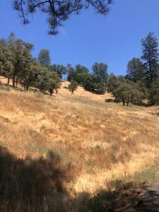 12274 Kenneth Court, Grass Valley, 加利福尼亚州 95949, 美国