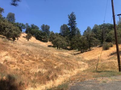 12274 Kenneth Court, Grass Valley, 加利福尼亚州 95949, 美国