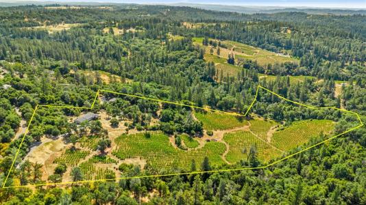 9425 Mosquito Road, Placerville, California 95667, USA