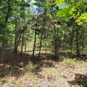 Lot 2 REYNOLDS ISLAND COVE 001-09567-000 Parcel ID, Elizabeth, Arkansas 72531, Estados Unidos
