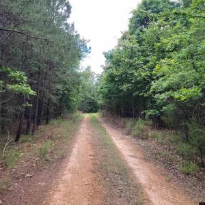 Lot 2 REYNOLDS ISLAND COVE 001-09567-000 Parcel ID, Elizabeth, Arkansas 72531, Estados Unidos