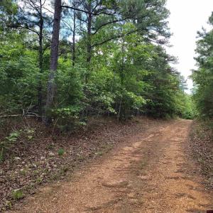 Lot 2 REYNOLDS ISLAND COVE 001-09567-000 Parcel ID, Elizabeth, Arkansas 72531, Estados Unidos