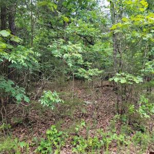 Lot 2 REYNOLDS ISLAND COVE 001-09567-000 Parcel ID, Elizabeth, Arkansas 72531, Estados Unidos