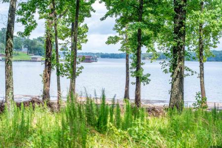 Lot 1 Ezelle Way, Scroggins, Texas 75480, Estados Unidos