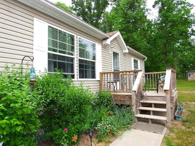 3461 S James Road, Baldwin, Michigan 49304, USA