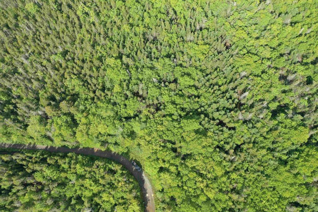 GRANT 16738 MOSER RIVER NORTH ROAD, Moser River, Nova Scotia B0J 2K0, Canada
