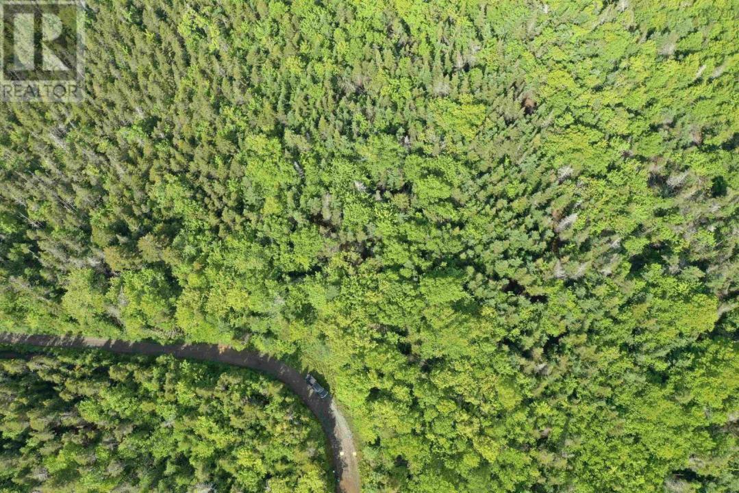 GRANT 16738 MOSER RIVER NORTH ROAD, Moser River, Nova Scotia B0J 2K0, Canada